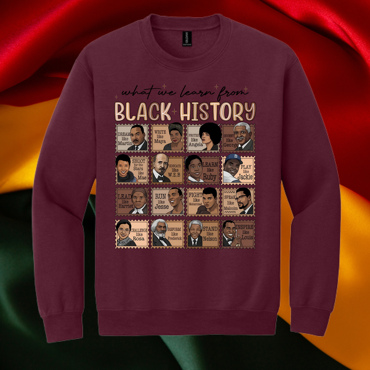What We Learn From BHM Unisex T-Shirt/Sweatshirt