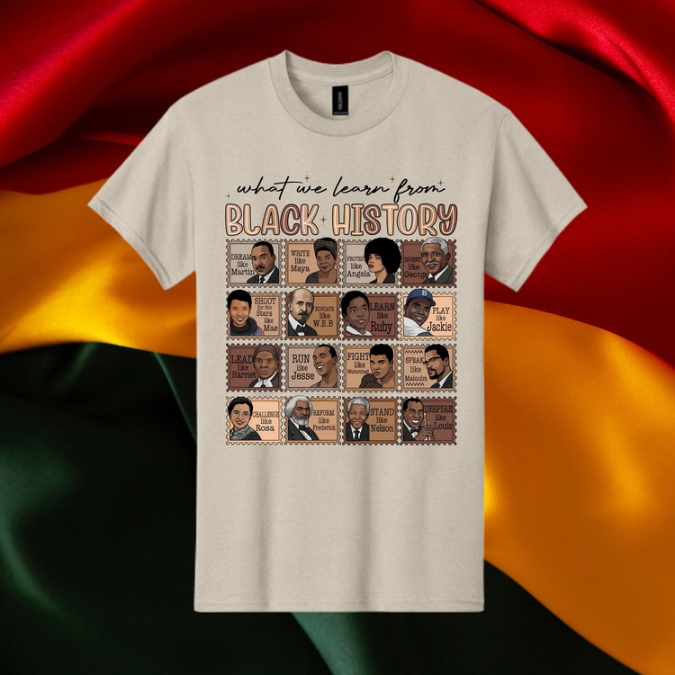What We Learn From BHM Unisex T-Shirt/Sweatshirt