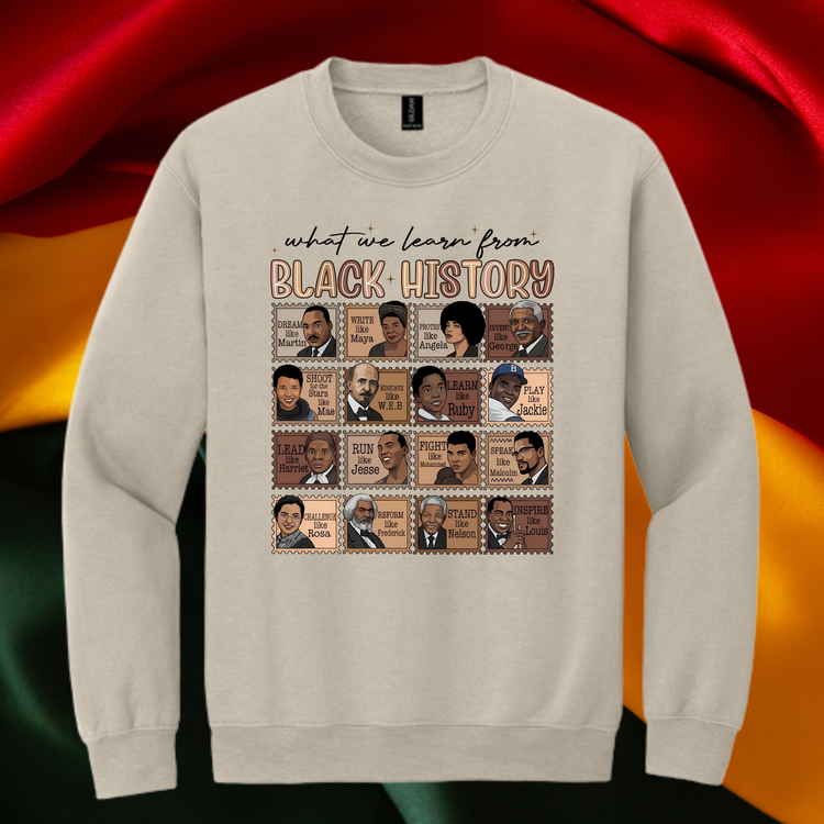 What We Learn From BHM Unisex T-Shirt/Sweatshirt