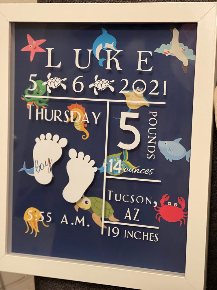 Baby Stats Shadow Box